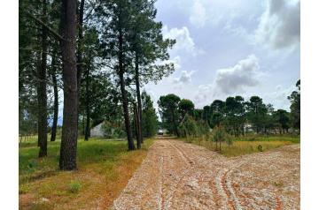 Terreno Urbano - Grândola